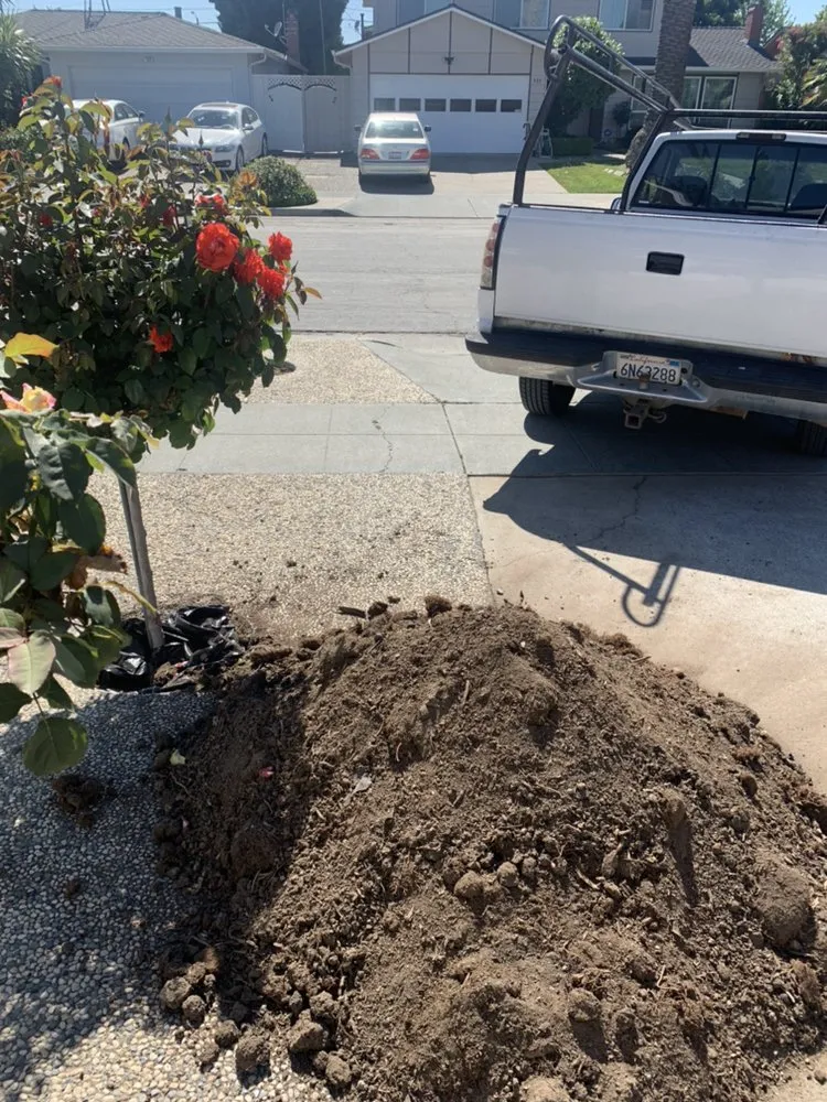 Slide of A Plus Service