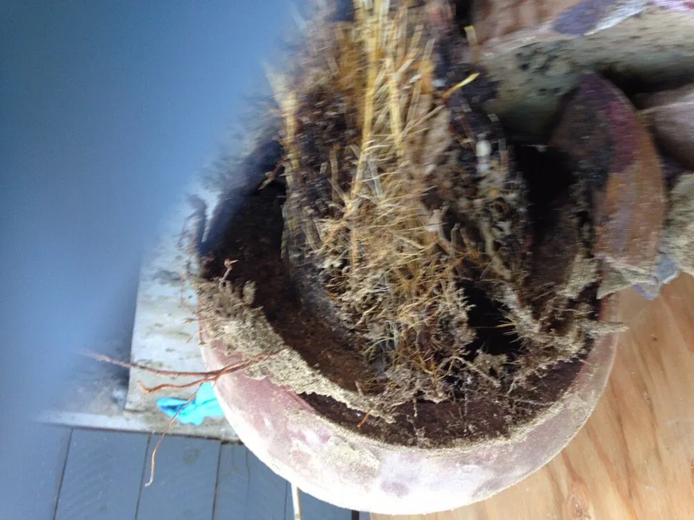 Slide of A-Quick Rooter & Plumbing Co.