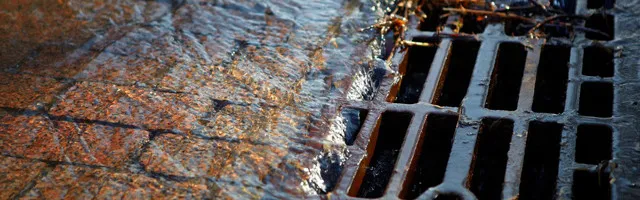 Slide of A Rooter King