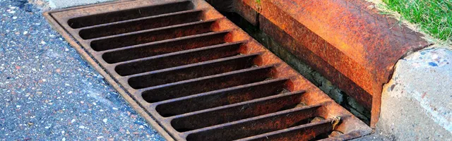 Slide of A Rooter King