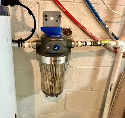 A Royal Flush Plumbing