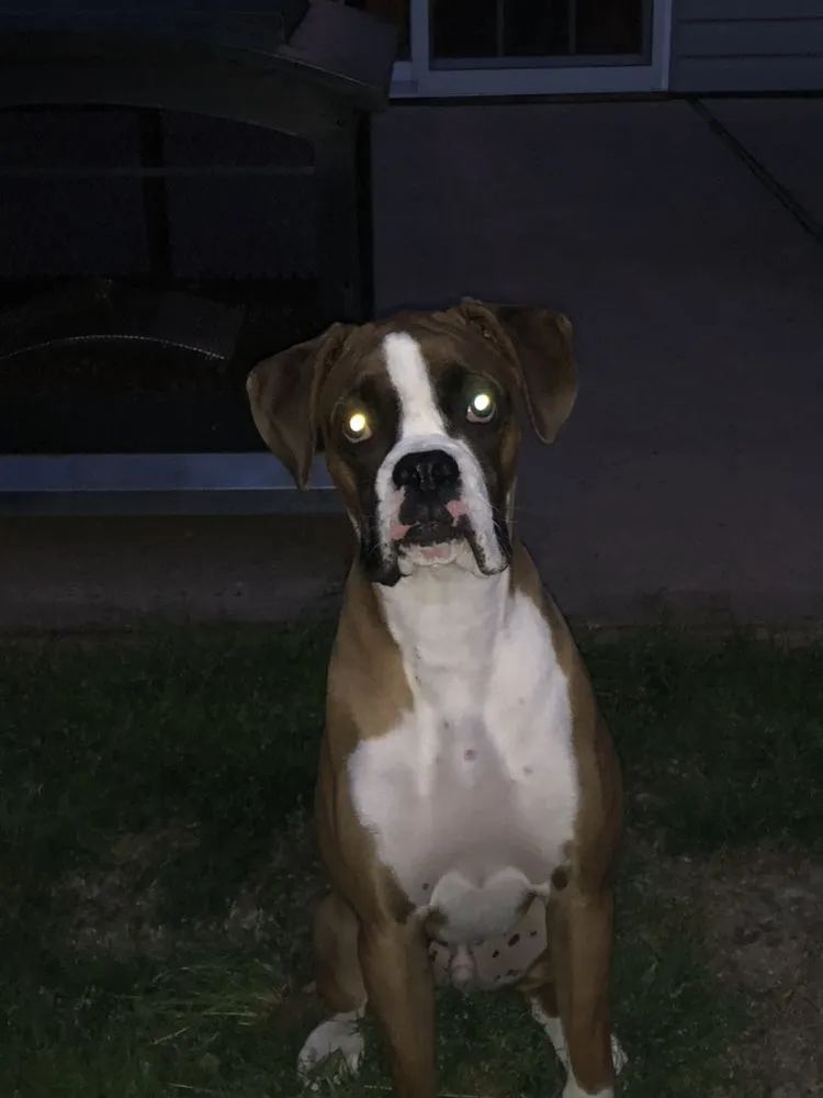 Slide of A-Savior Plumbing