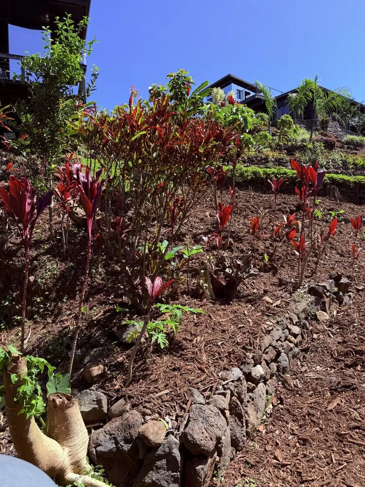 Slide of A+ Service Hawaii