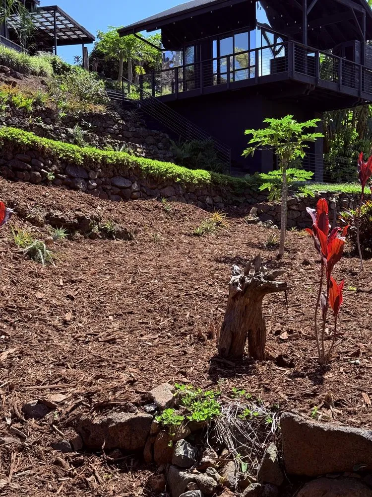 Slide of A+ Service Hawaii