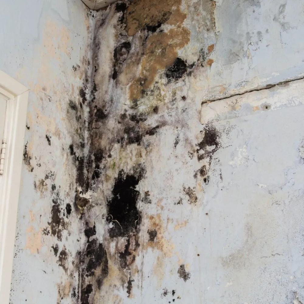 Slide of A+ Services