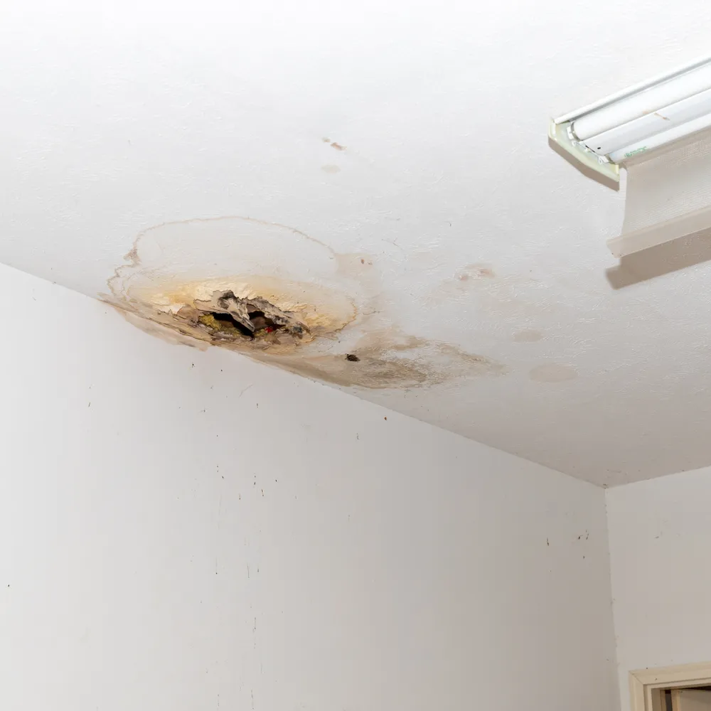 Slide of A+ Services