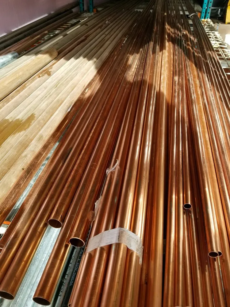 Slide of A Sewer Expert