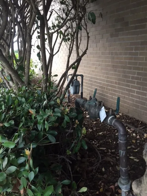 Slide of A Sewer Expert