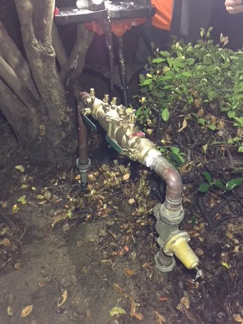 Slide of A Sewer Expert