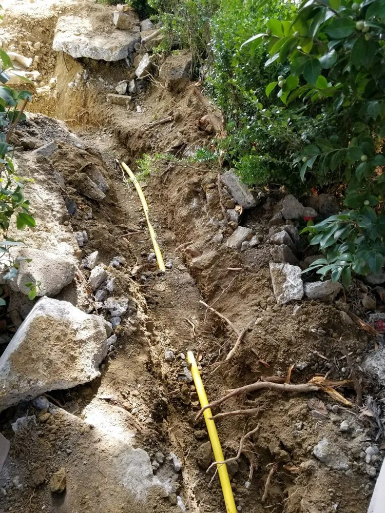 Slide of A Sewer Expert