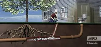 Slide of A Sewer Expert