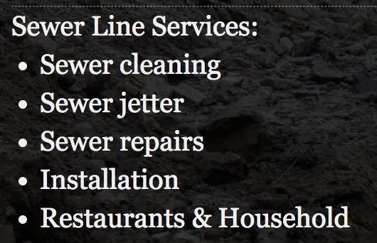 Slide of A Sewer Genie