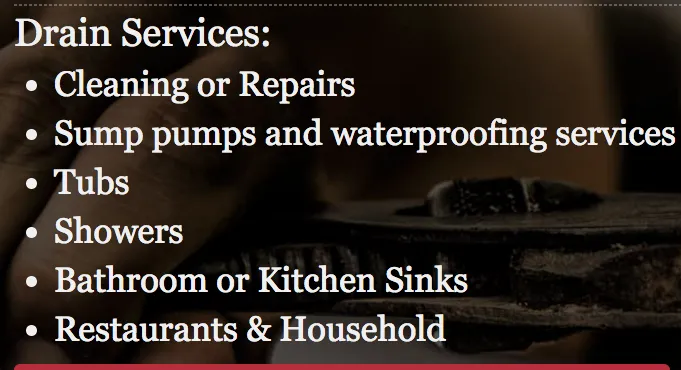 Slide of A Sewer Genie