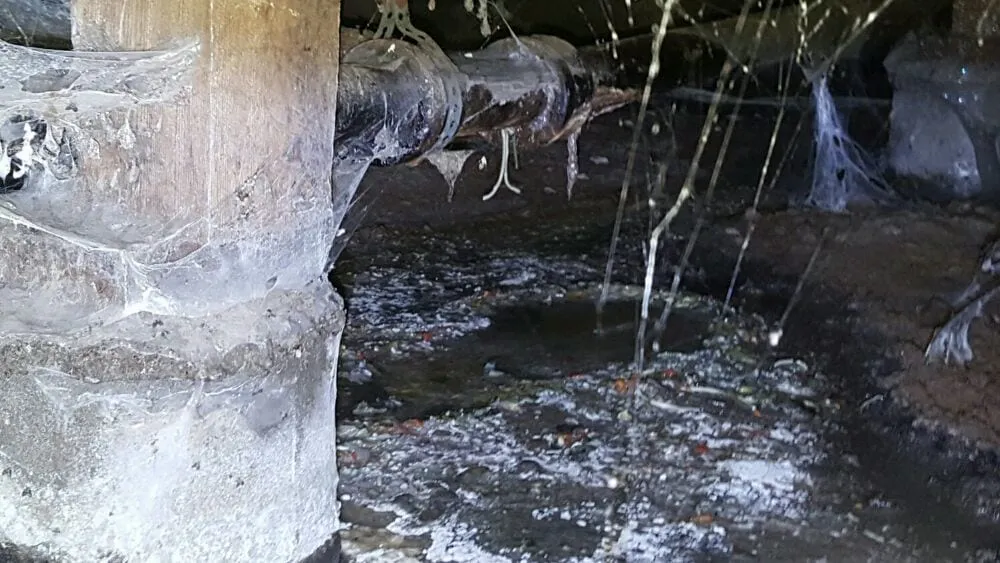 Affordable plumbing repair for homes in Auburn, CA by A Sewer Guy Plumbing