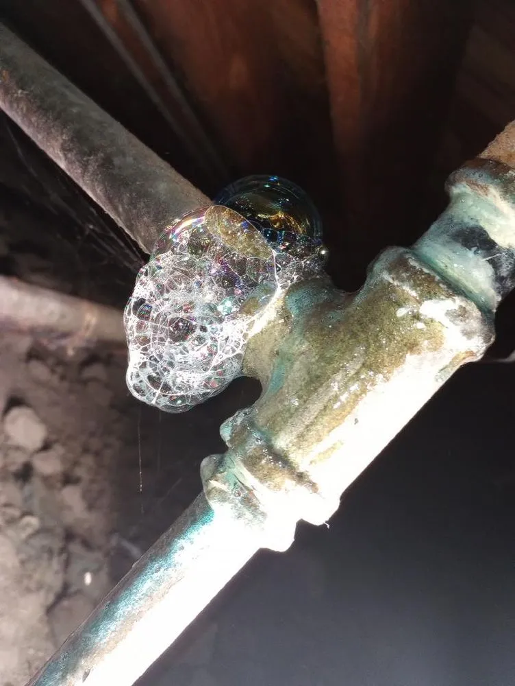 Slide of A Star Is Born Plumbing