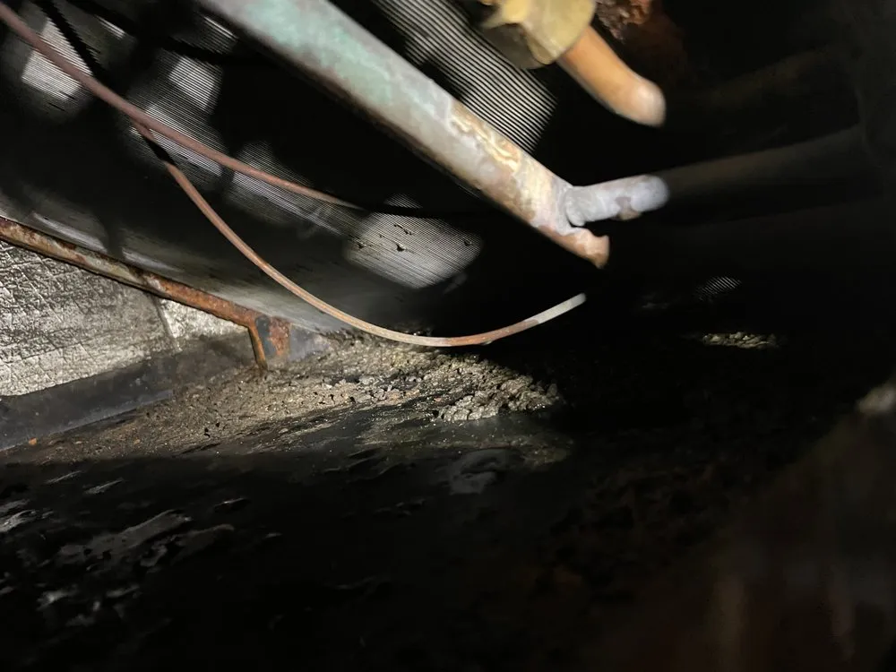 Reliable drain cleaning service in Tampa Bay, FL - A to Z plumbing & Air