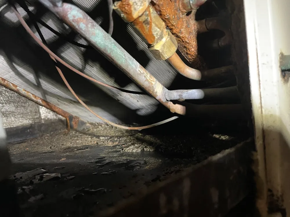 Expert water heater service in Tampa Bay, FL by A to Z plumbing & Air