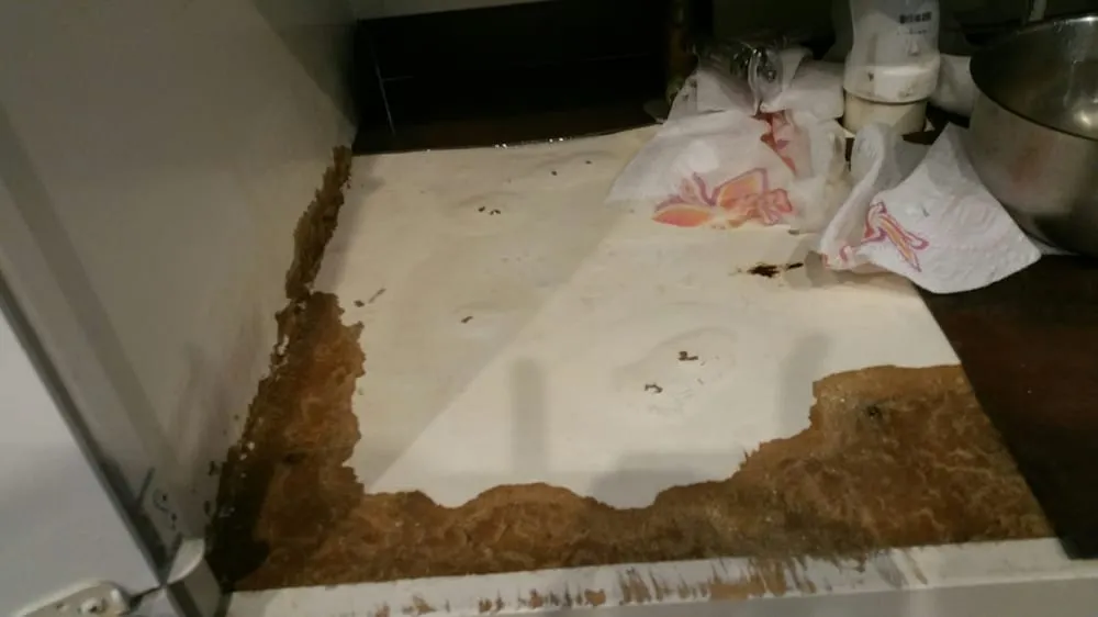 Slide of A-Total Plumbing