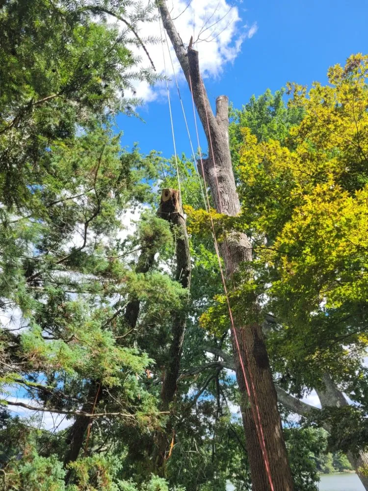 Professional emergency plumbing experts serving Brookfield, CT - A Touch Of Class Remodeling