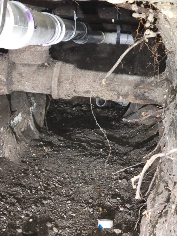 Slide of A1 Integrity