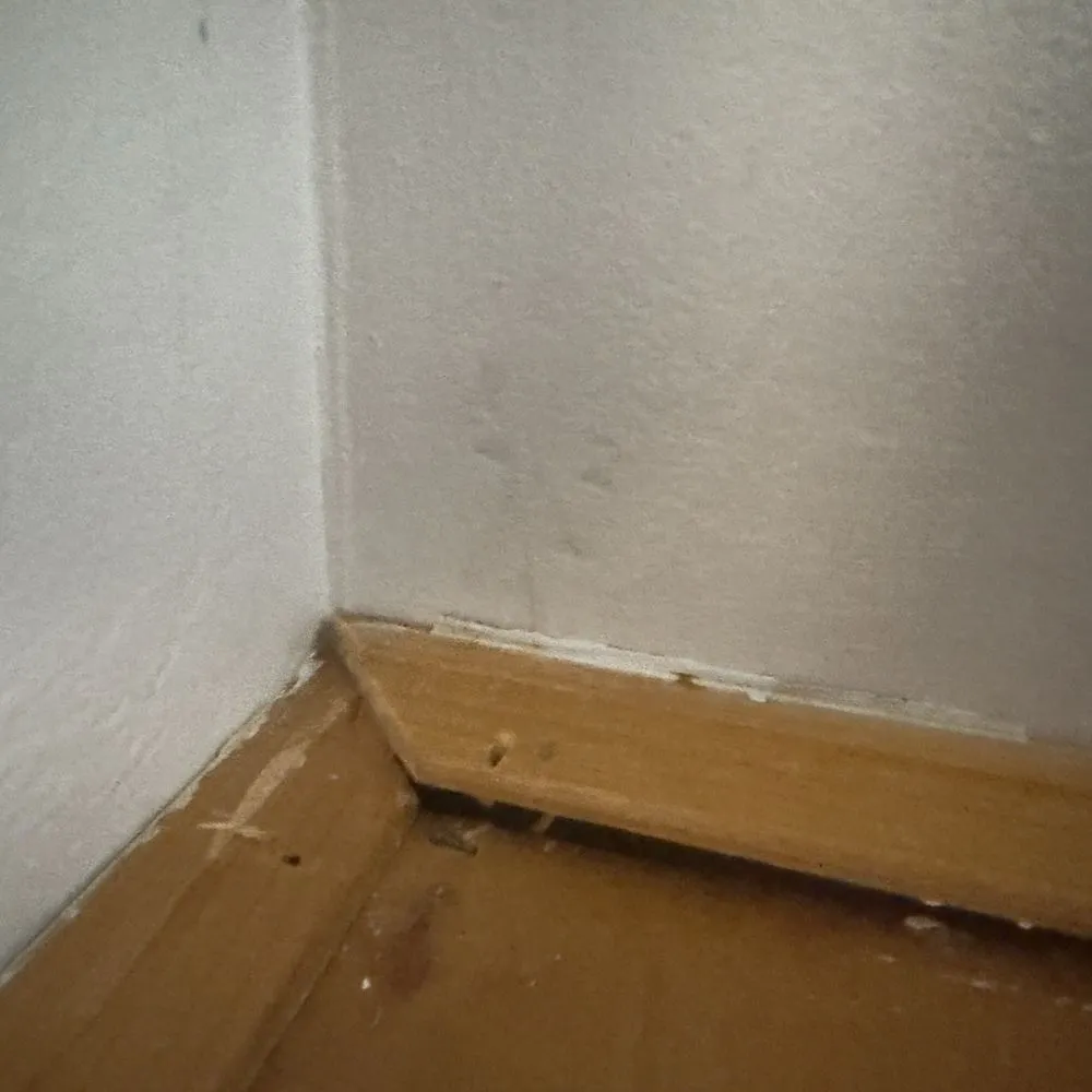 Slide of A1 Plumbing Service