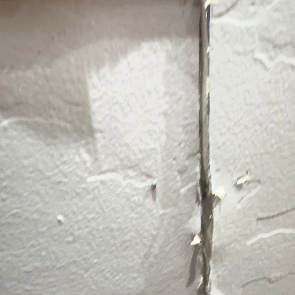 Slide of A1 Plumbing Service