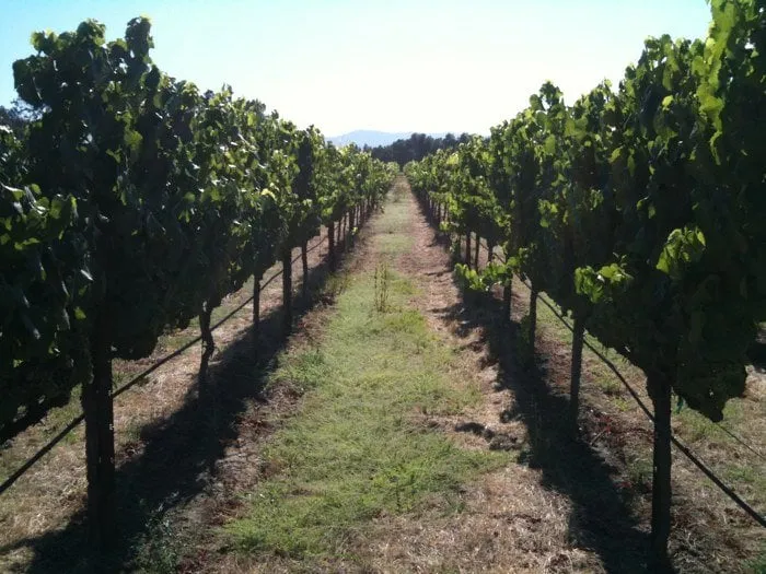 Slide of A1 Plumbing Service