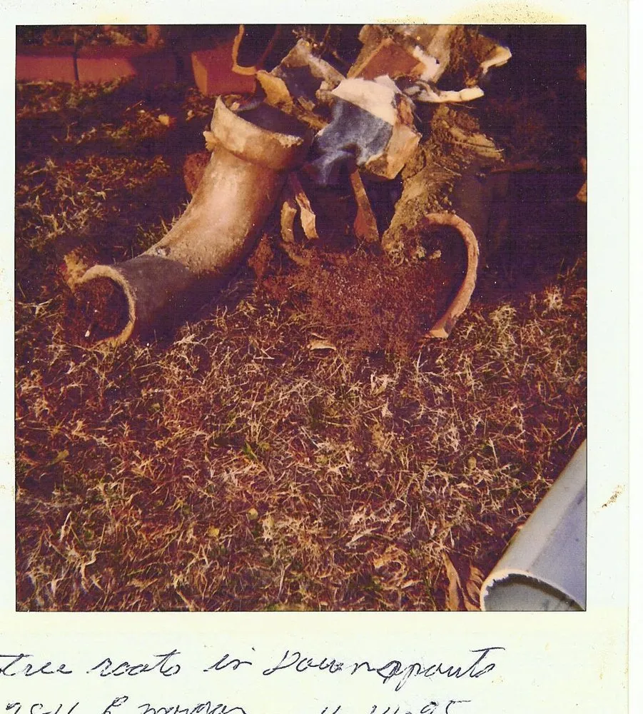 Reliable pipe repair for homes in Evansville, IN by A1 Redi Rooter