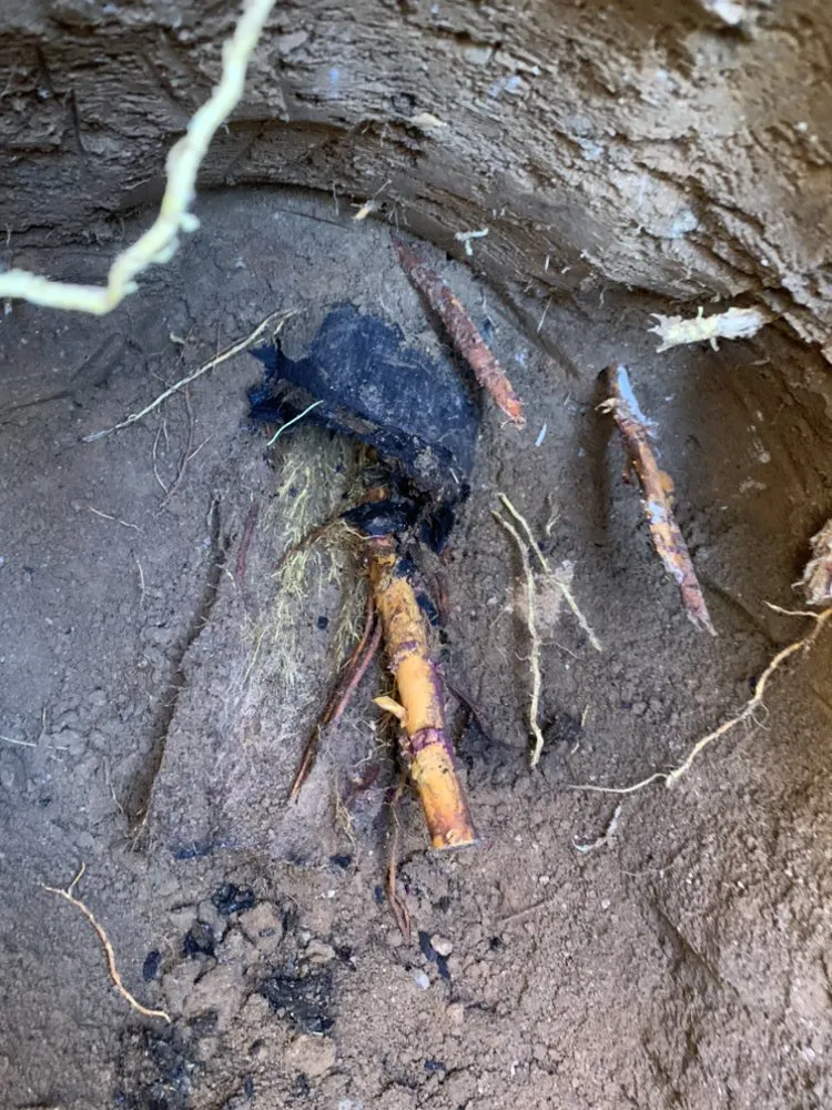 Slide of A3 Plumbing Repair & Services