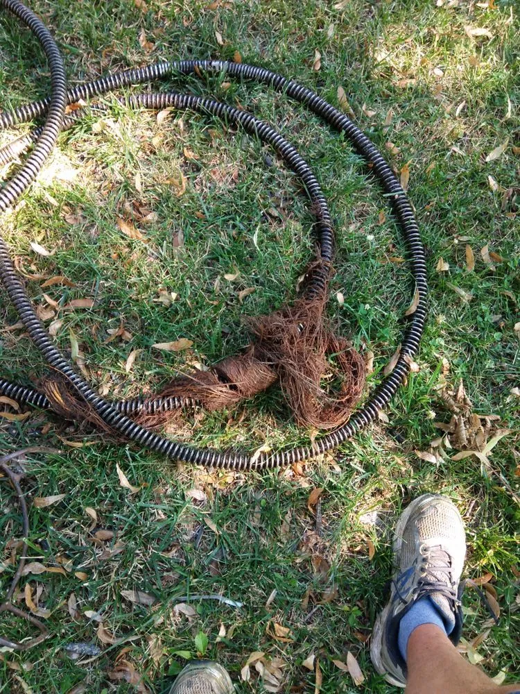 Slide of AA Drain Medic