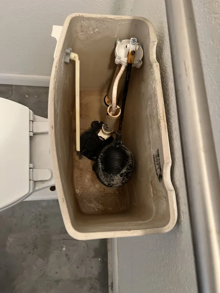 Slide of AA Melda Drain Solutions