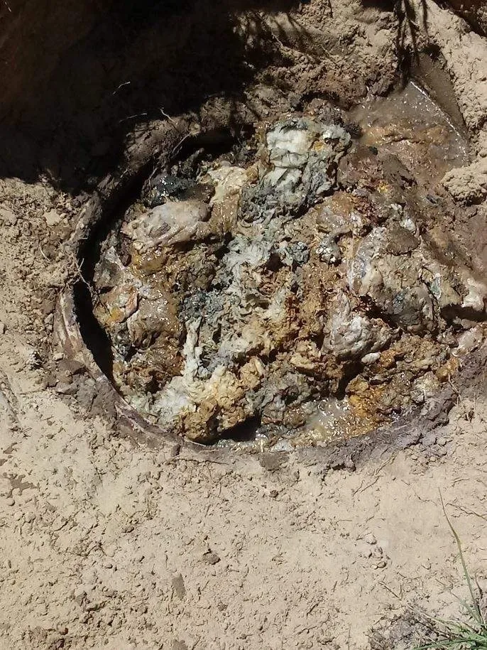 Affordable leak detection in Gainesville, FL by AA Plumbing And Drain