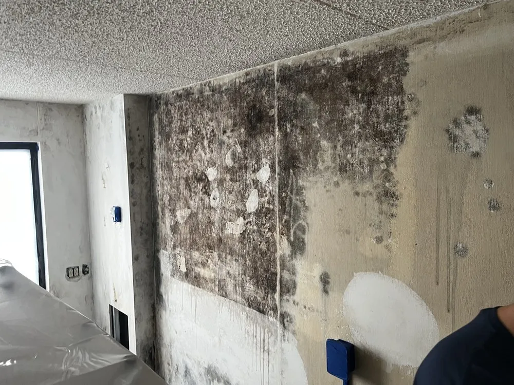 Slide of AA Restoration