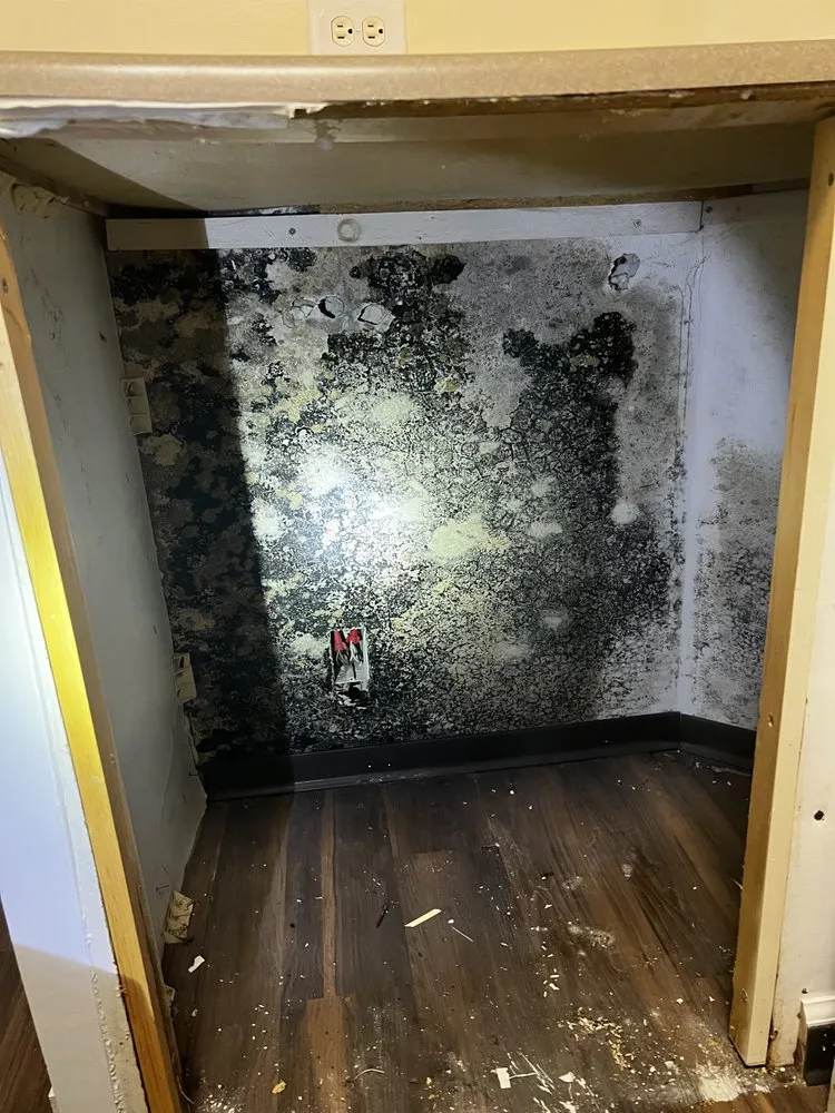 Slide of AA Restoration