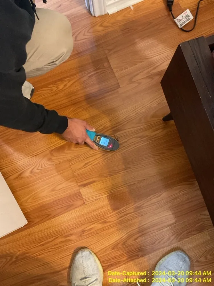 Slide of AA Restoration