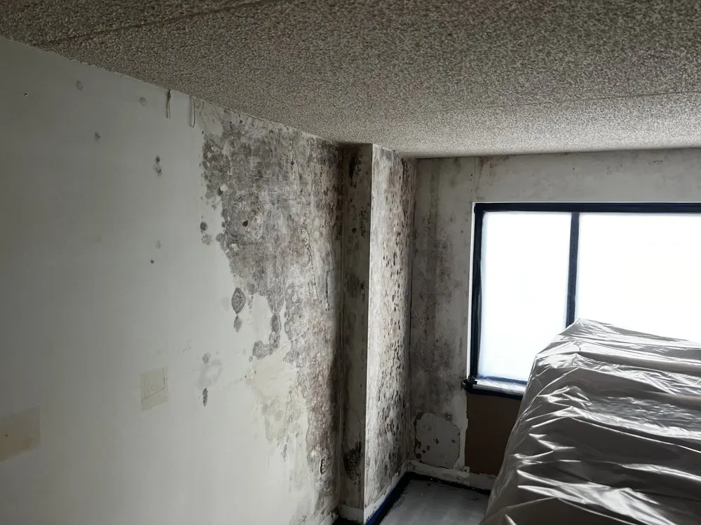 Slide of AA Restoration