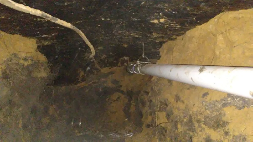 Slide of AA Super Rooter