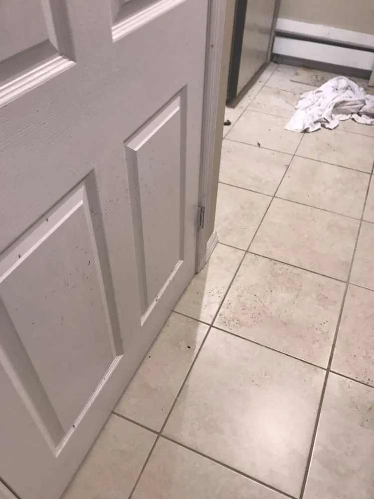 Affordable drain cleaning for homes in South Orange, NJ by AAA-Able Plumbing, Heating, and Drain Cleaning