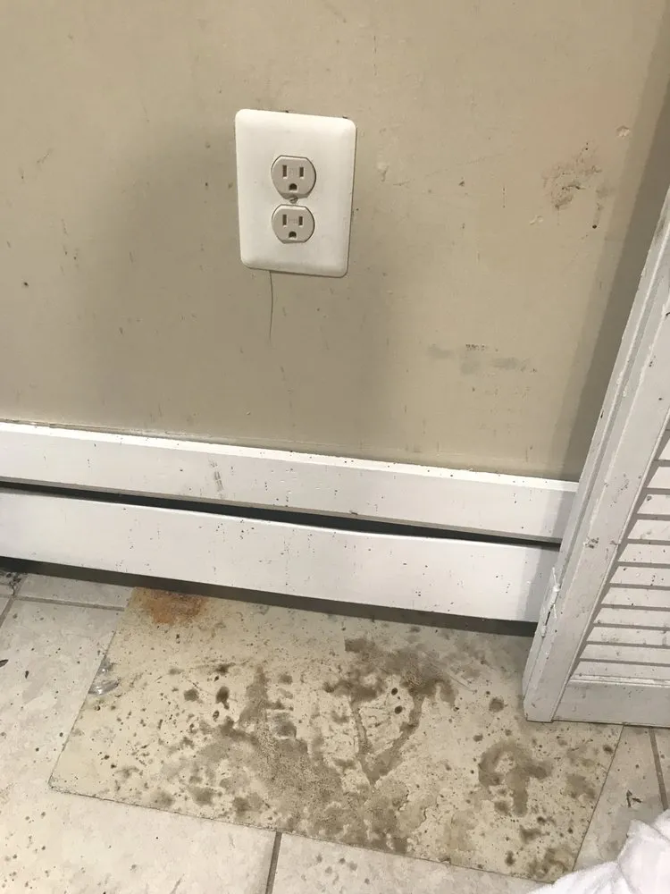 Top-rated drain cleaning for homes in South Orange, NJ by AAA-Able Plumbing, Heating, and Drain Cleaning