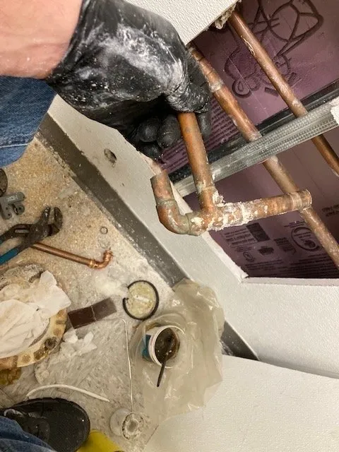 Trusted leak detection for homes in Downers Grove, IL by AAA-Ace Plumbing and Sewer Company