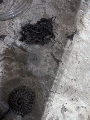 AAA American Sewer Service