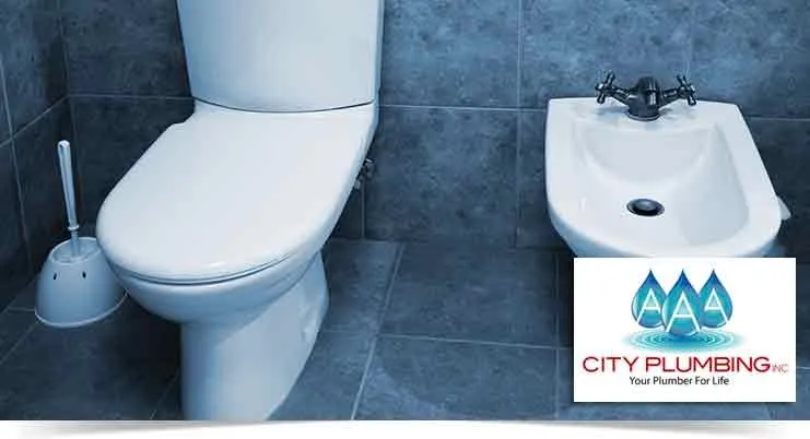 Slide of AAA City Plumbing