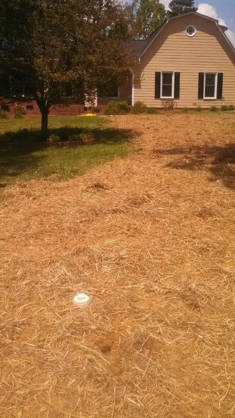 Slide of AAA City Plumbing