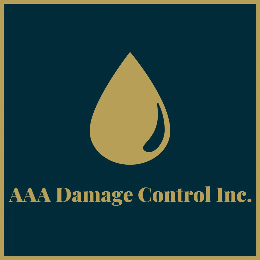 Slide of AAA Damage Control