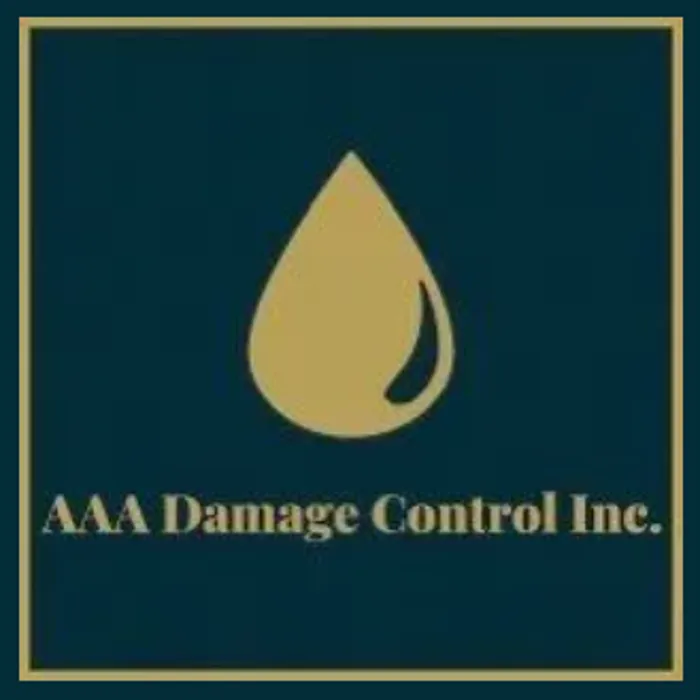 Slide of AAA Damage Control