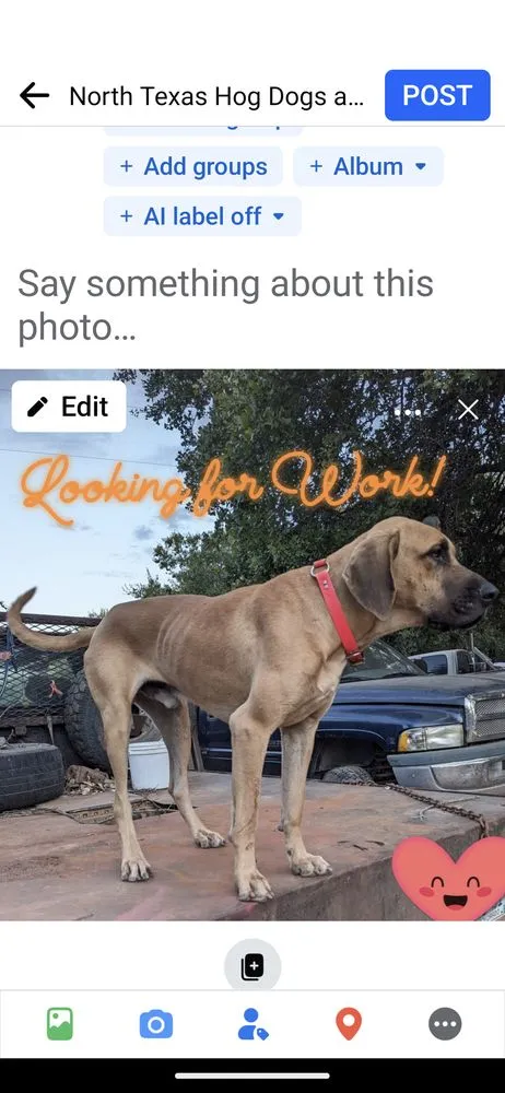 Slide of AAA Dodd Water Well Service