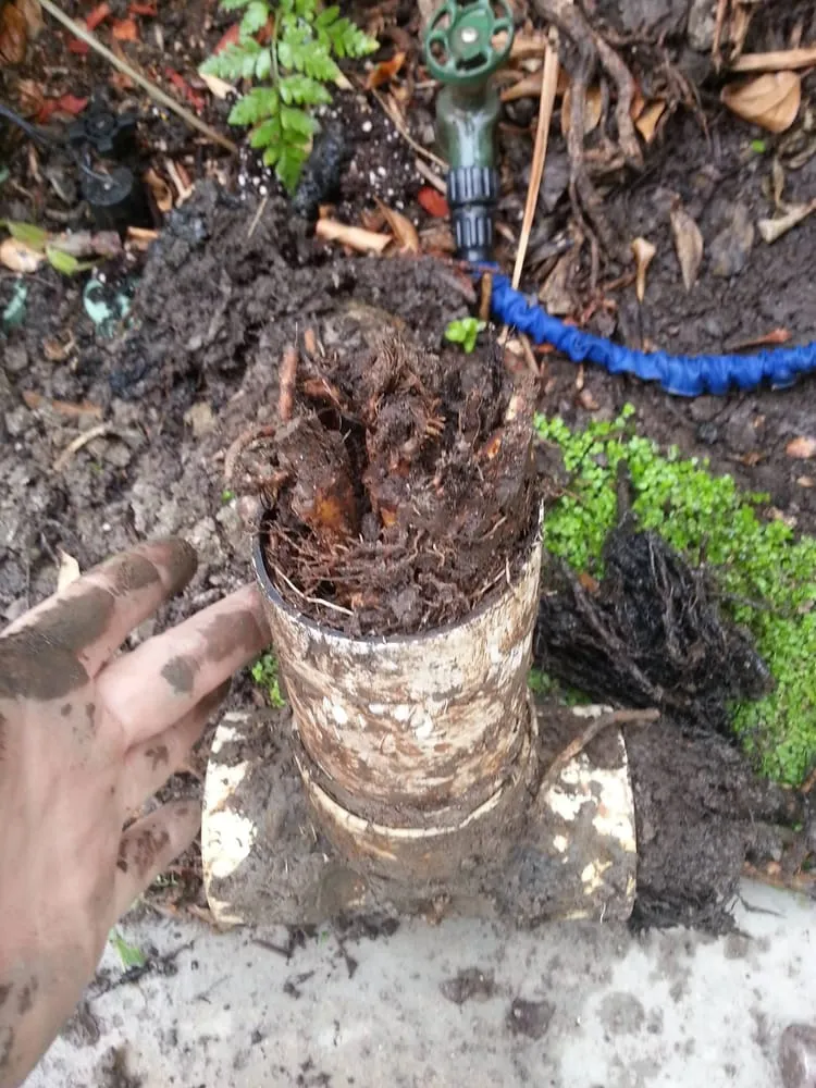 Slide of AAA Jet Rooter of Huntington Beach