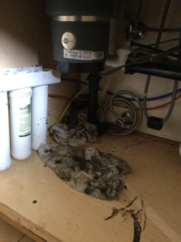 Slide of AAA Paradise Plumbing & Rooter