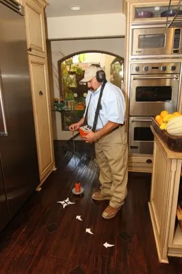 AAA Pinpoint Leak Detection Logo