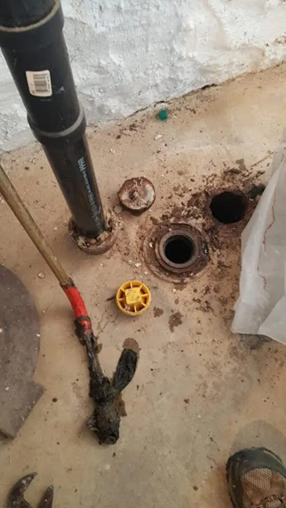 Slide of AAAce Drain Cleaning